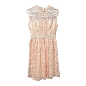Elegant Lace  Dress in Cream and Pink